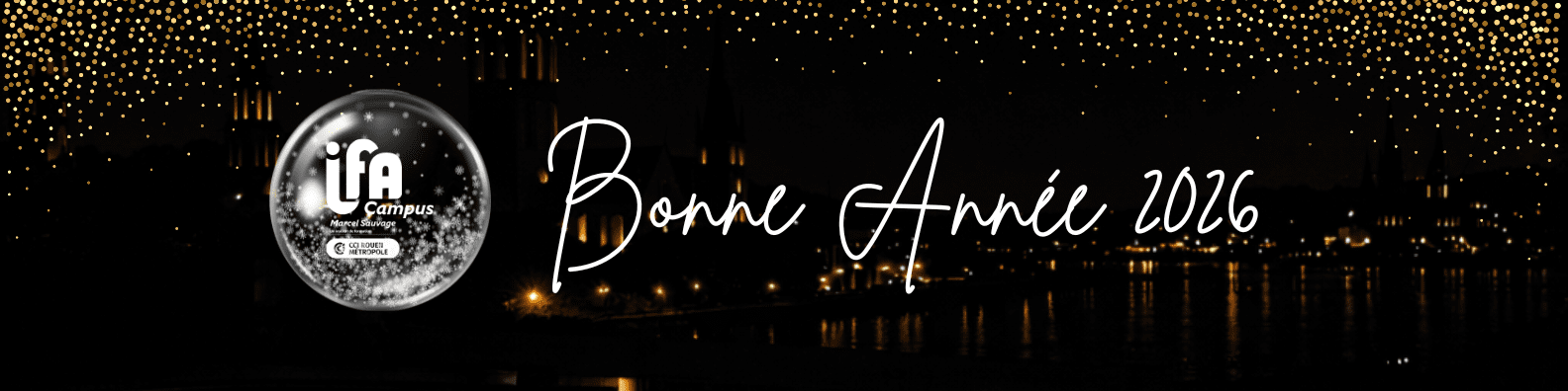 Bonne Année 2026